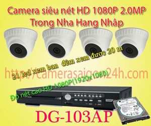 Lắp đặt camera quan sát giá rẻ camera FULL HD 1080P Nhập Nguyên DG-103AP