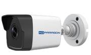Camera IP hồng ngoại 2.0 Megapixel HDPARAGON HDS-2023IRP/D,HDPARAGON HDS-2023IRP/D